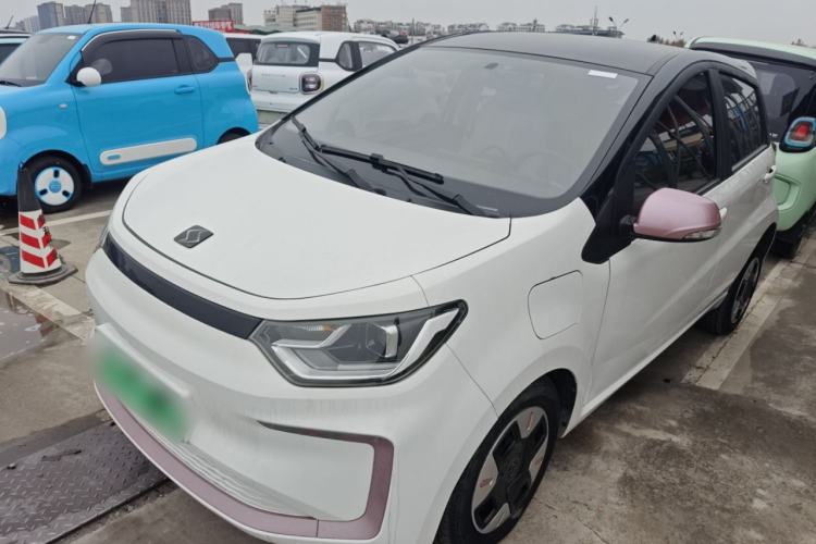 Used SOL E10X 2022 Flower Fairy Design Four-Leaf Clover