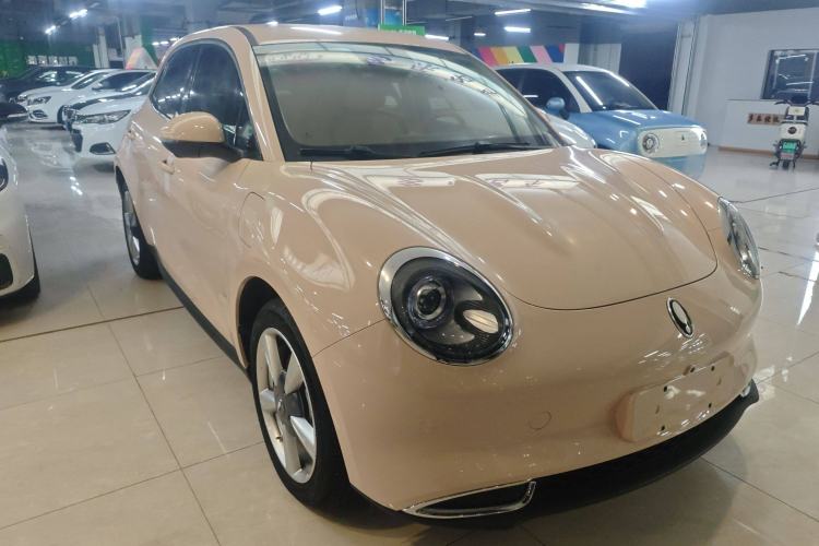 Used ORA Good Cat 2023 401 km Standard Range Luxury Version Lithium Iron Phosphate