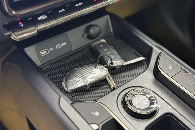 Used Haval Raptor New Energy 
