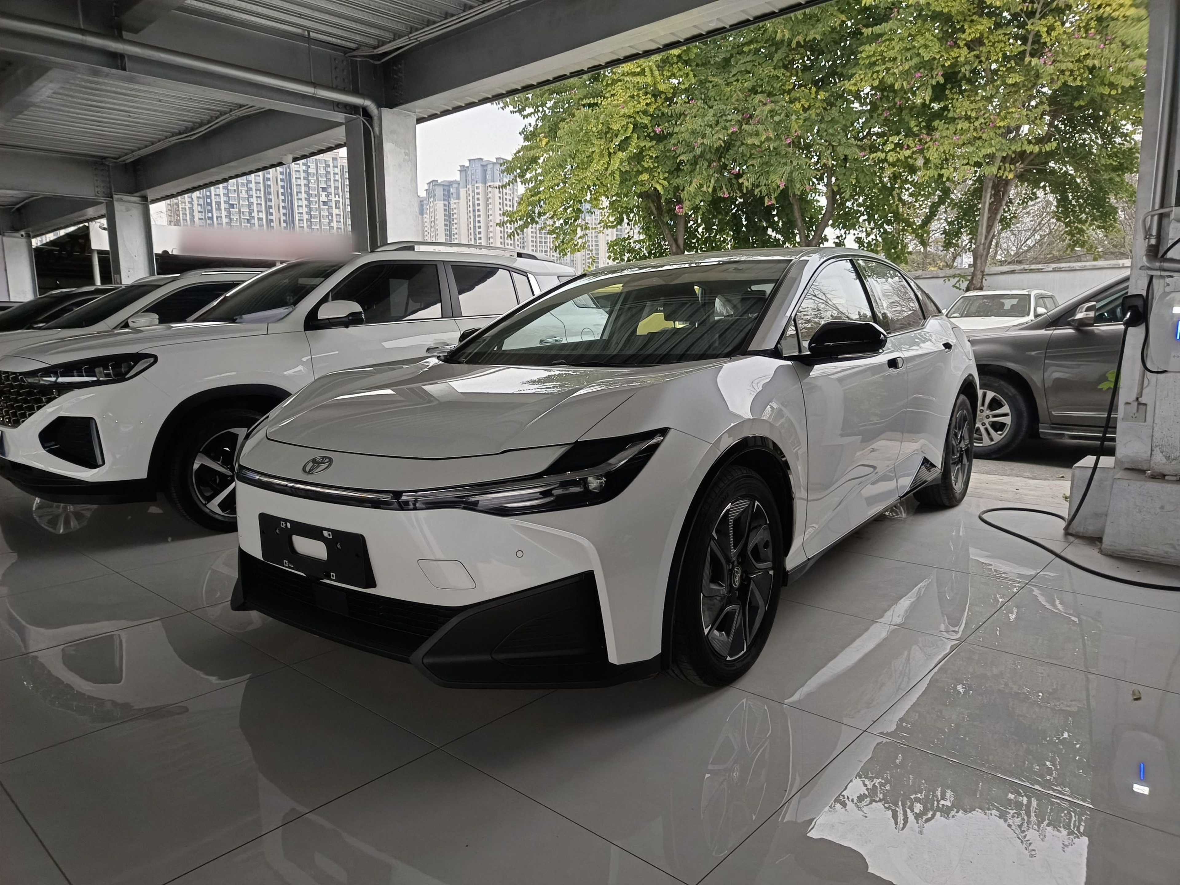 تحت مقدمة السيارة