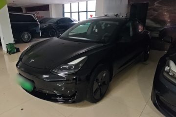Used Tesla Model 3 2022 Rear-Wheel-Drive Version