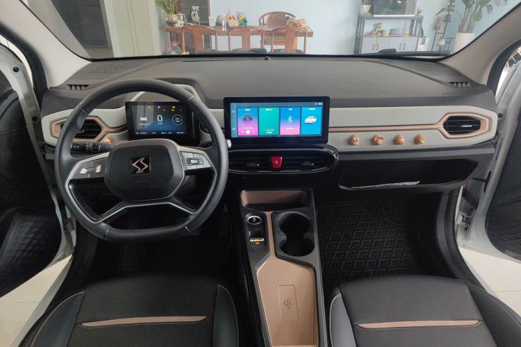 Used SOL E10X 2022 Flower Fairy Design Four-Leaf Clover