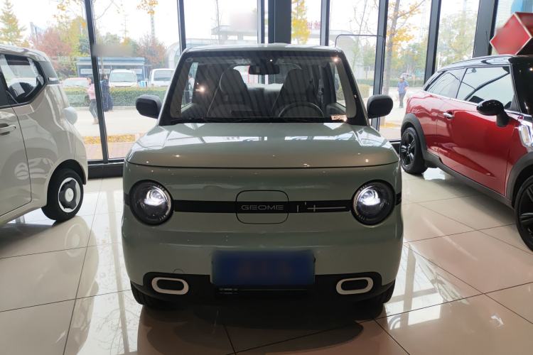 Used  Panda 2025 210 km – Yuanqi Bear
