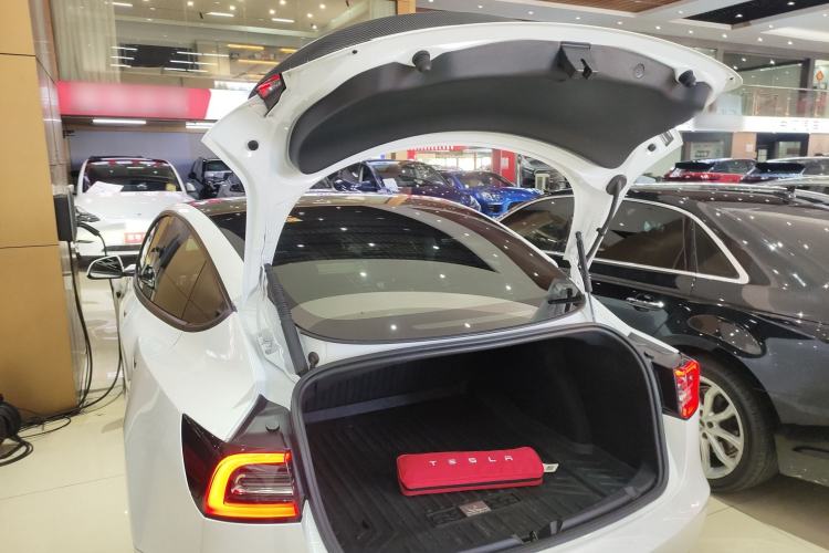 Used Tesla Model 3 2021 Performance High-Performance All-Wheel-Drive Version 3D6
