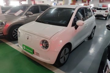 Used ORA Black Cat 2022 Updated Version 301 km Cute Pet Edition Lithium Iron Phosphate