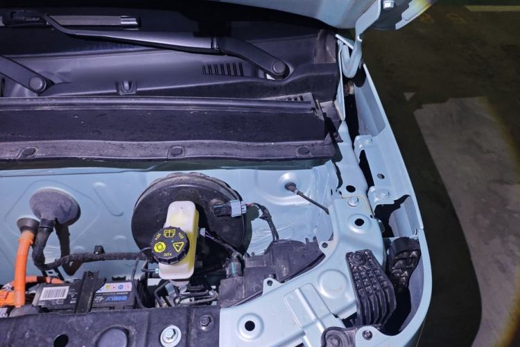 Used  Panda 2024 Panda Mini 200km Endurance Bear