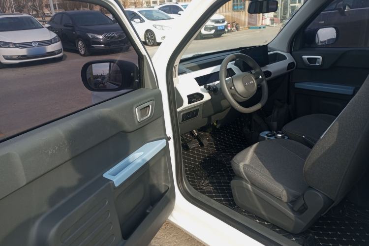 Used  Panda 2024 Panda Mini 200km Endurance Bear
