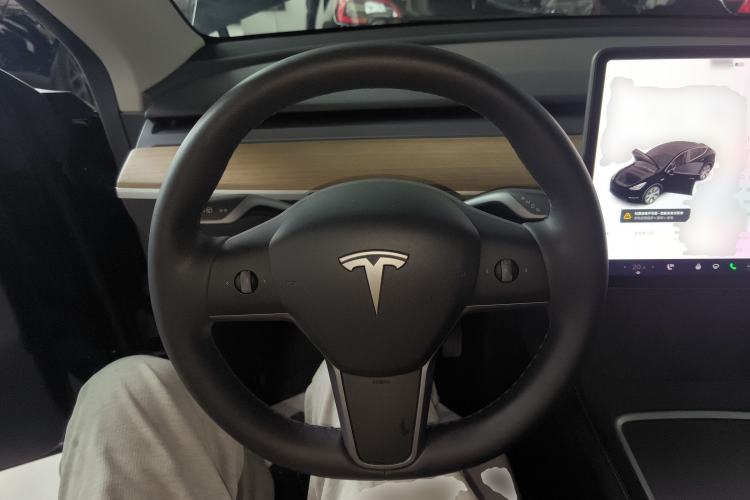 Used Tesla Model Y 2021 Standard Range Rear-Wheel Drive Version
