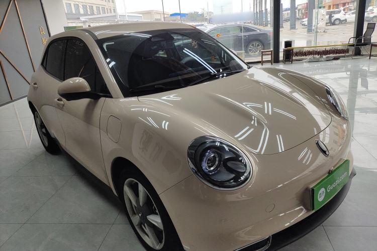 Used ORA Good Cat 2023 401 km Standard Range Luxury Version Lithium Iron Phosphate
