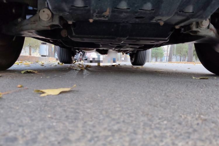 Used Tank 300 2021 Off-Road Edition 2.0T Conqueror