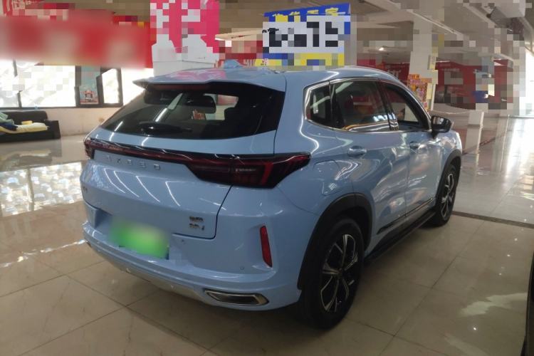 Used  Zhuifeng C-DM 2023 1.5 TCI-DHT 80KM "Chengfengqi" Edition
