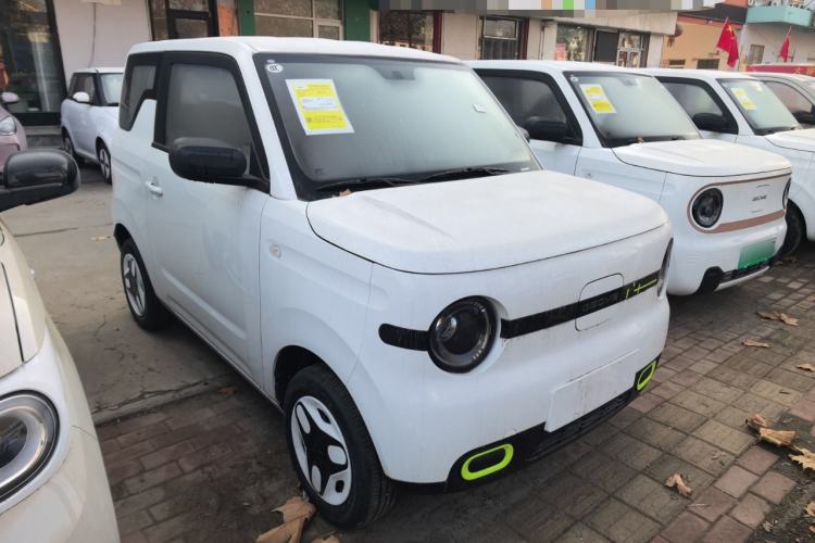 Used  Panda 2025 210 km – Yuanqi Bear