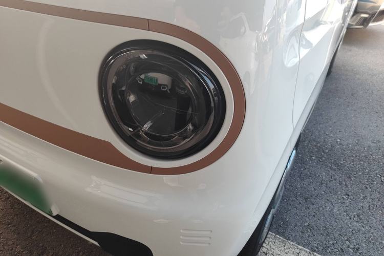 Used  Panda 2024 Panda Mini 200km Endurance Bear
