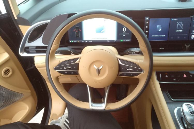 Used VOYAH Dream 2024 PHEV Extended-Range Premium Edition
