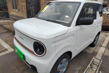 Used Geely Galaxy Panda 2024 Panda Mini 200km Endurance Bear