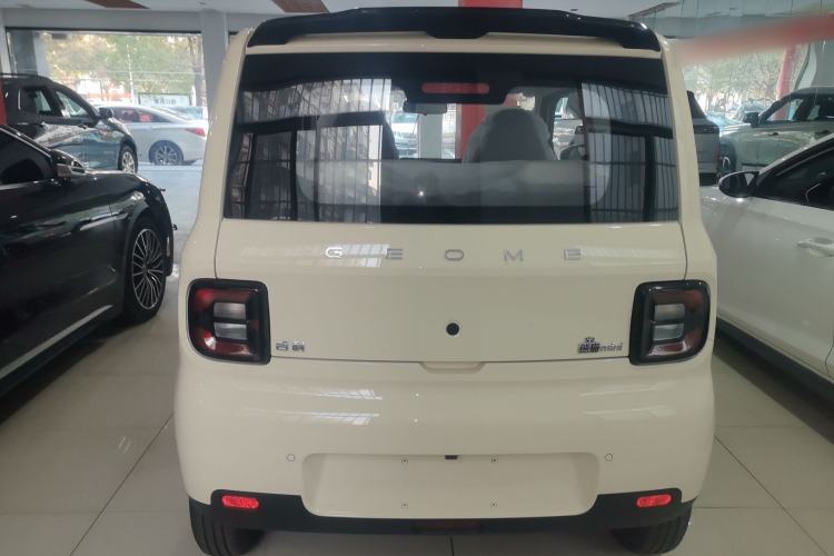 Used  Panda 2025 210 km – Yuanqi Bear
