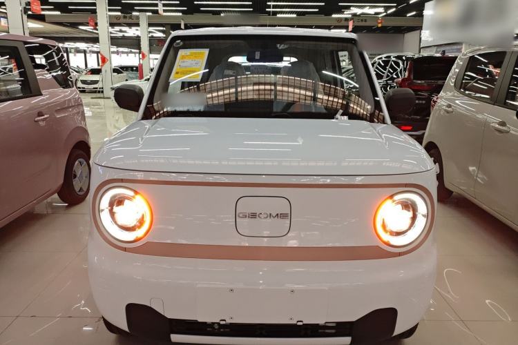 Used  Panda 2024 Panda Mini 200km Endurance Bear
