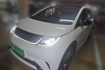 Used BYD Dolphin 2023 420 km Fashion Edition