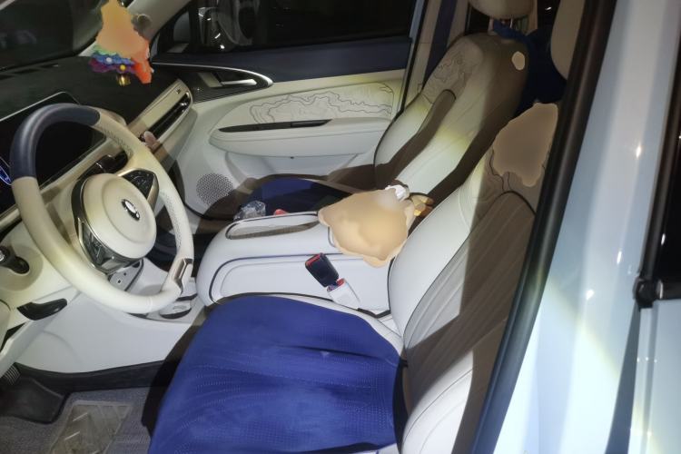 Used ORA Good Cat 2023 401 km Standard Range Premium Version Lithium Iron Phosphate
