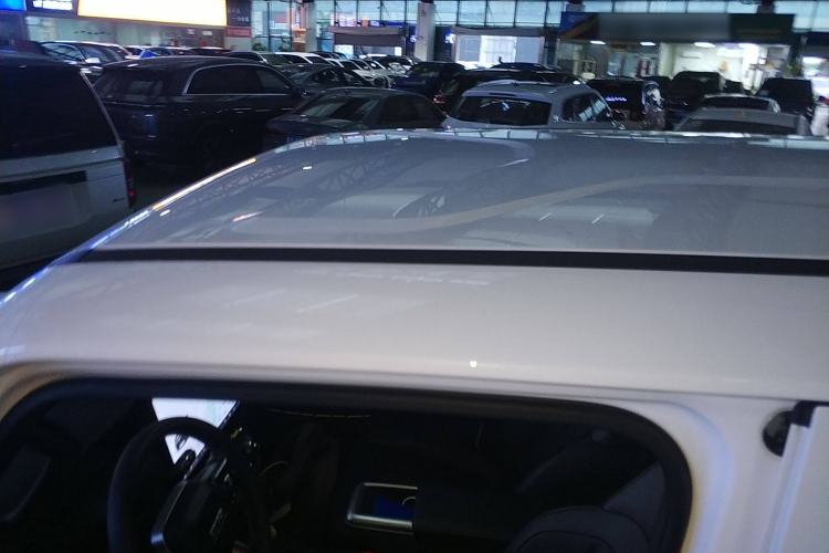 Used  V23 2025 401 Two-Wheel Drive Advanced Edition
