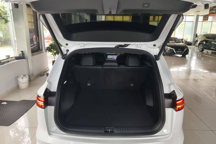 Used Geely Auto Monjaro L 2024 2.0TD High-Power Automatic Two-Wheel Drive Skyline Edition
