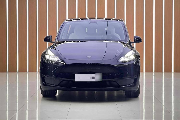 Used Tesla Model Y 2021 Standard Range Rear-Wheel Drive Version
