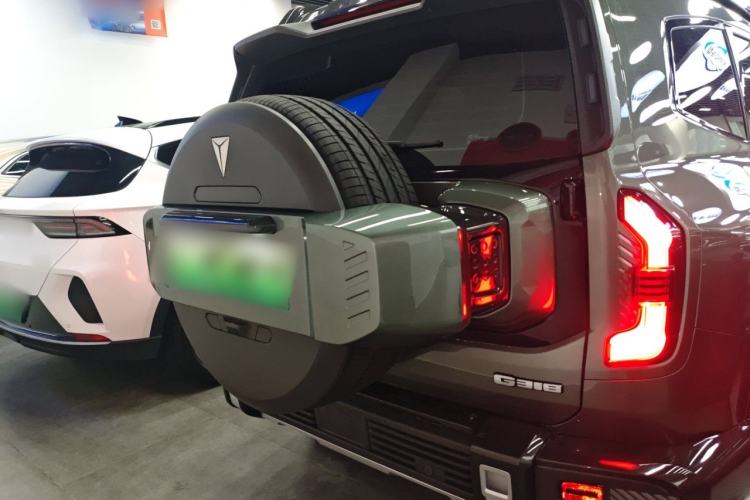 Used  G318 2025 Worry-Free Cross-Country Edition Four-Wheel Drive Distant Mountains Version