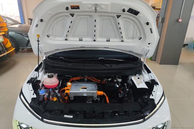 Used Geometry E Firefly 2024 401 km Fluorescent
