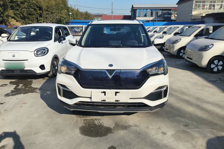 Used Venucia T60EV 2020 AI Enjoyment Model