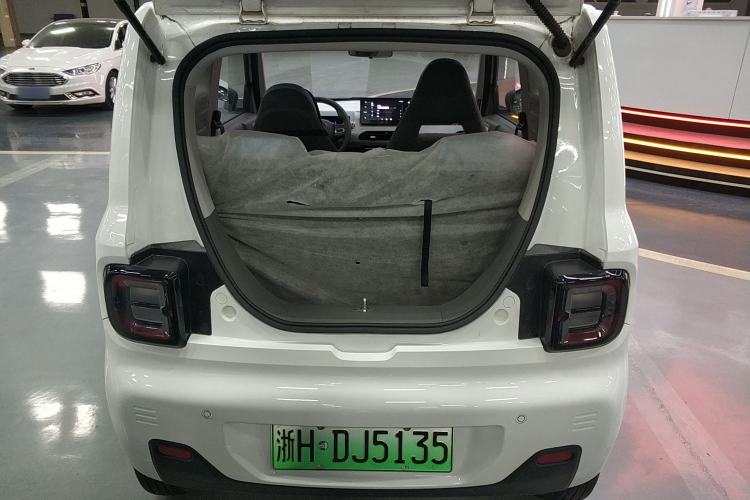 Used  Panda 2023 Panda Mini 200km Endurance Bear
