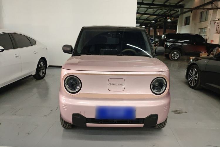 Used  Panda 2024 Panda Mini 200km Endurance Bear
