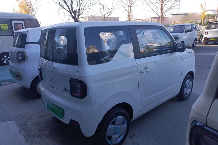 Used  Panda 2024 Panda Mini 200km Endurance Bear