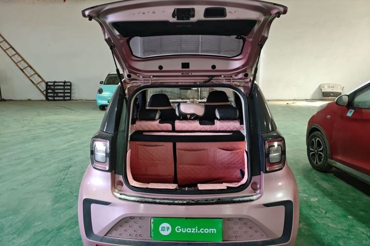 Used SOL E10X 2022 Flower Fairy Style Baby's Breath