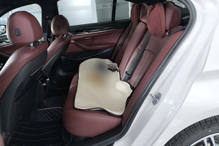 Used BMW 5 Series 2019 530Li Leading Model M Sport Package
