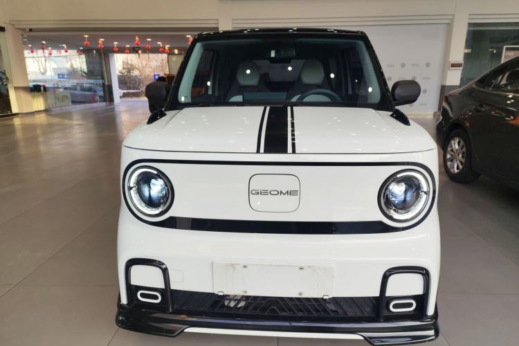 Used  Panda 2024 200km Panda Kart
