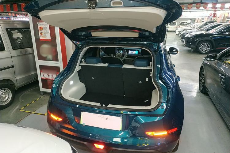 Used ORA Good Cat 2023 401 km Standard Range Luxury Version Lithium Iron Phosphate
