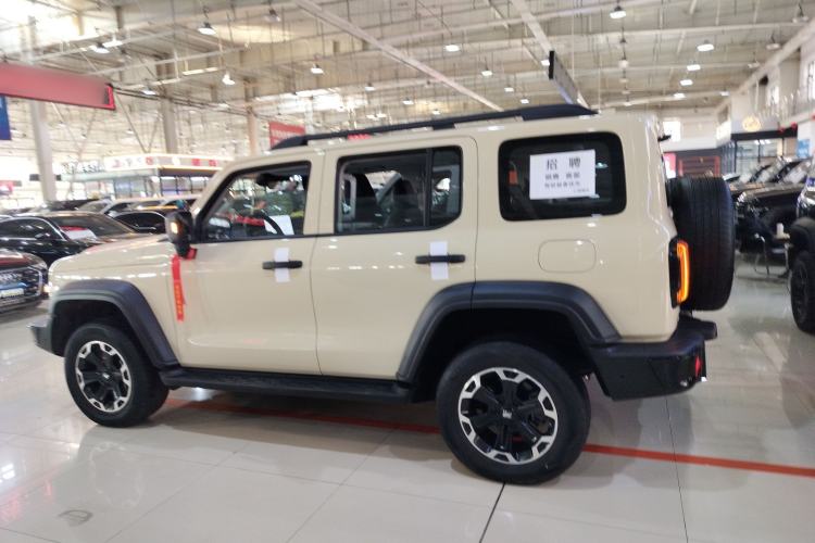 Used Tank 300 New Energy 2025 Hi4-T
