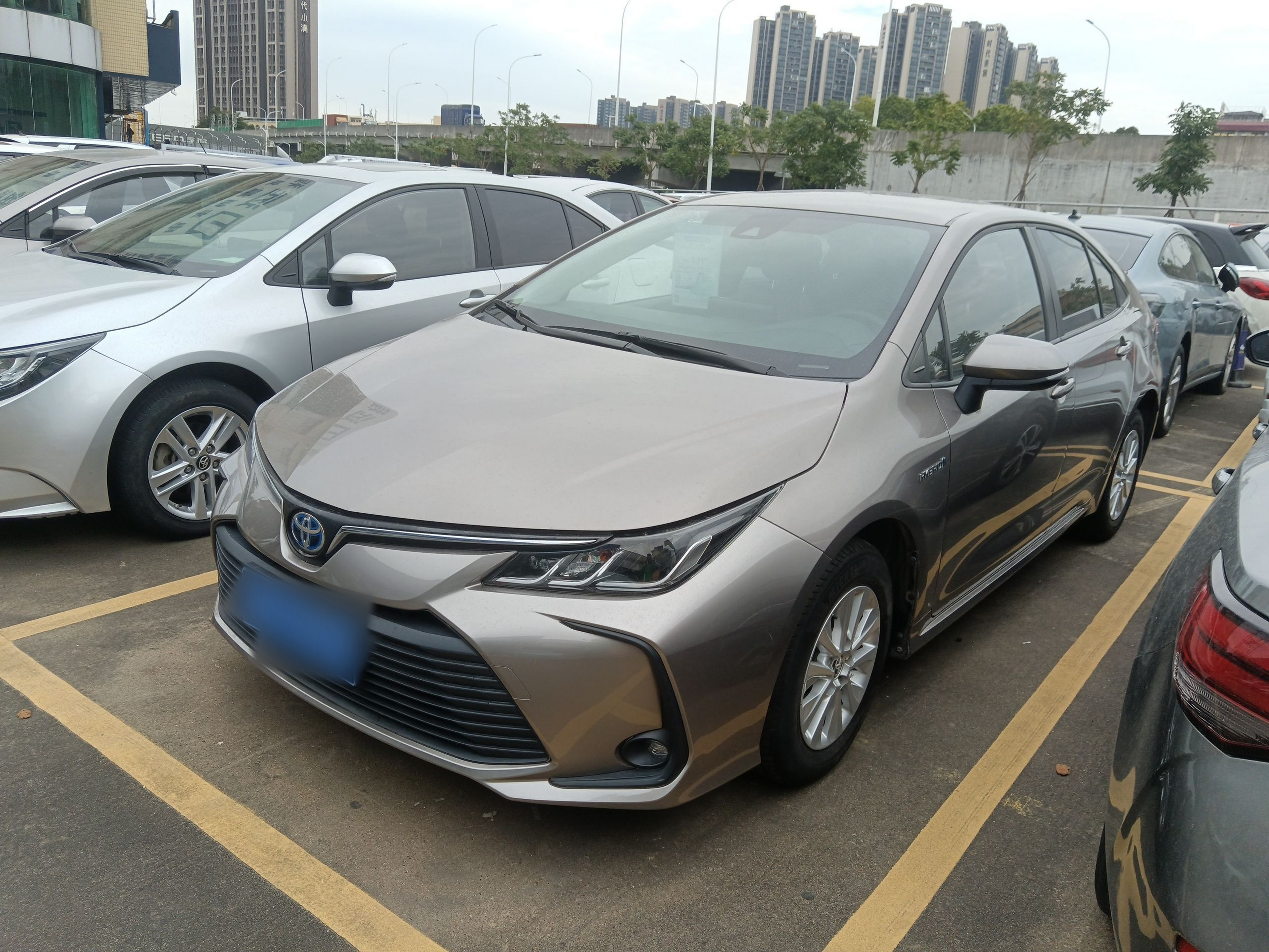 تحت مقدمة السيارة