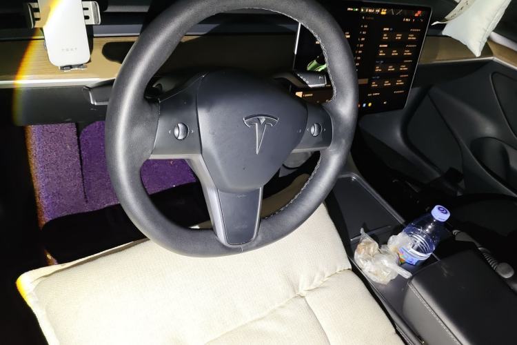 Used Tesla Model 3 2021 Performance High-Performance All-Wheel-Drive Version