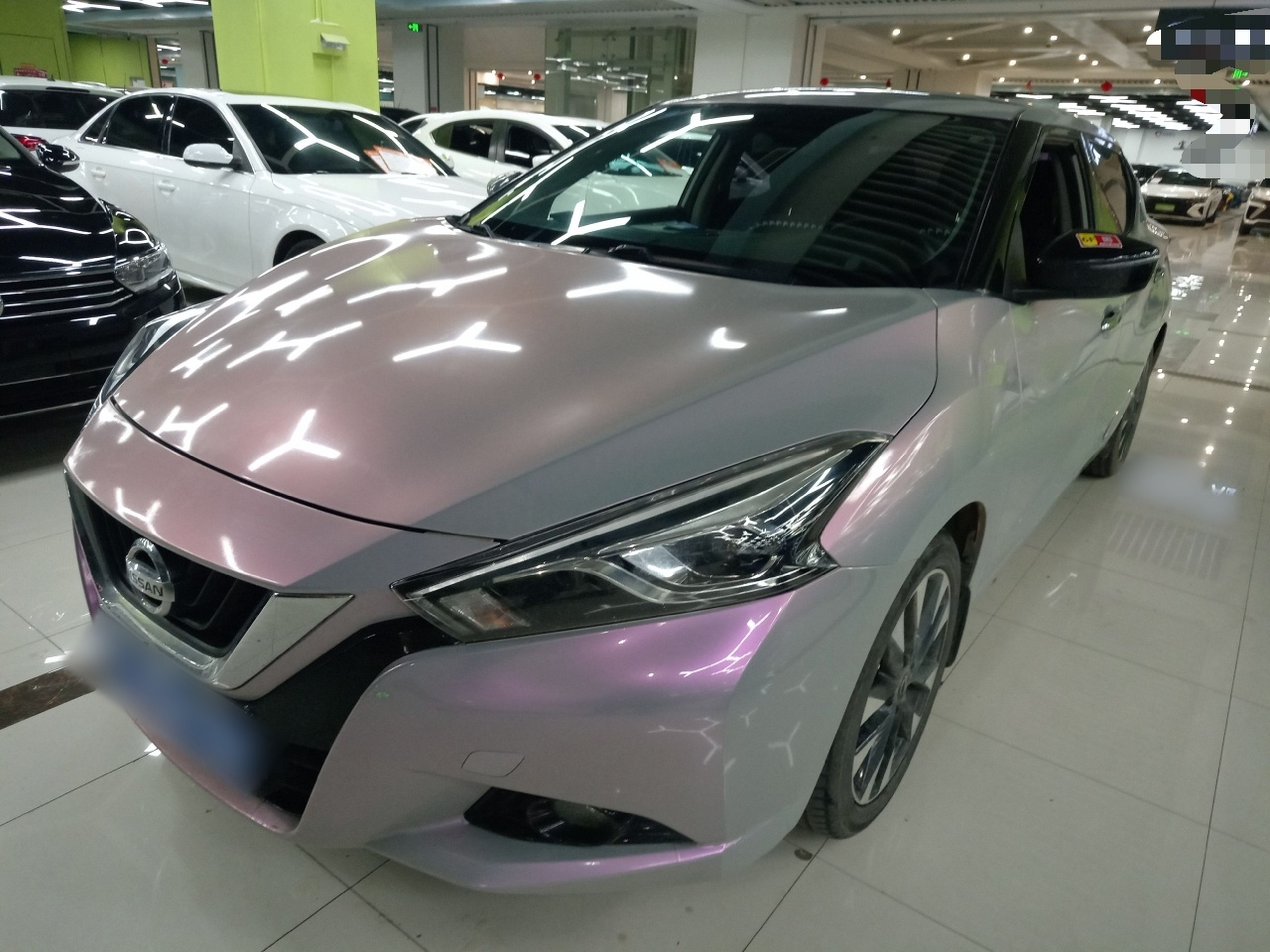 تحت مقدمة السيارة