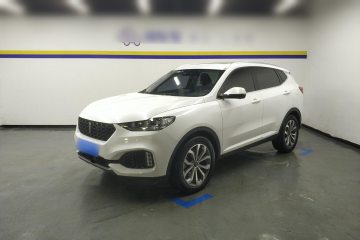 Used Wey VV6 2018 2.0T Two-Wheel Drive Flagship Version China V Standard