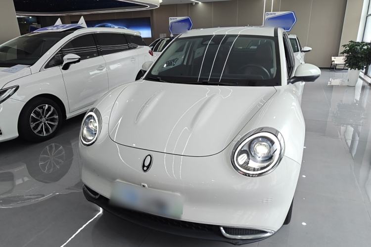 Used ORA Good Cat 2021 400km Standard Range Venus Edition Lithium-Ion Battery
