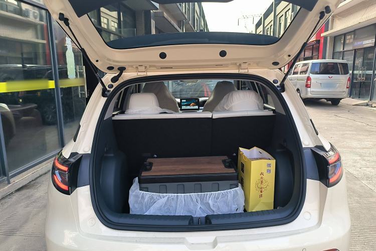 Used  Geome 2025 410 km Free Version
