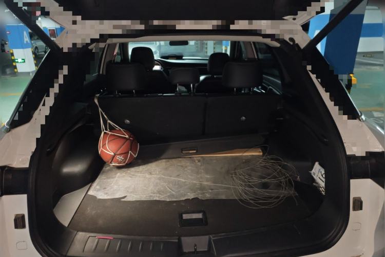 Used Venucia Star 2020 260T Automatic XingShang Edition