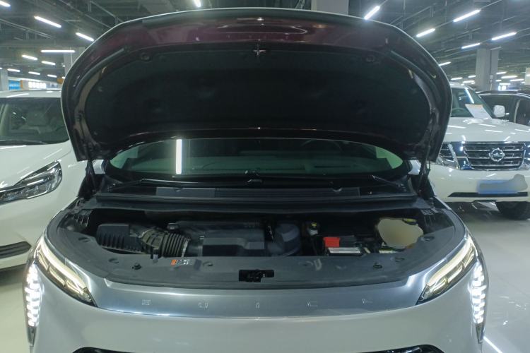 Used Buick Century 2023 2.0T Six-Seater Yinshi Edition
