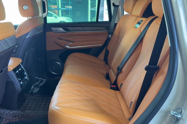 Used Tank 500 2022 3.0T Business Edition "Creation Realm" Design 5-Seater
