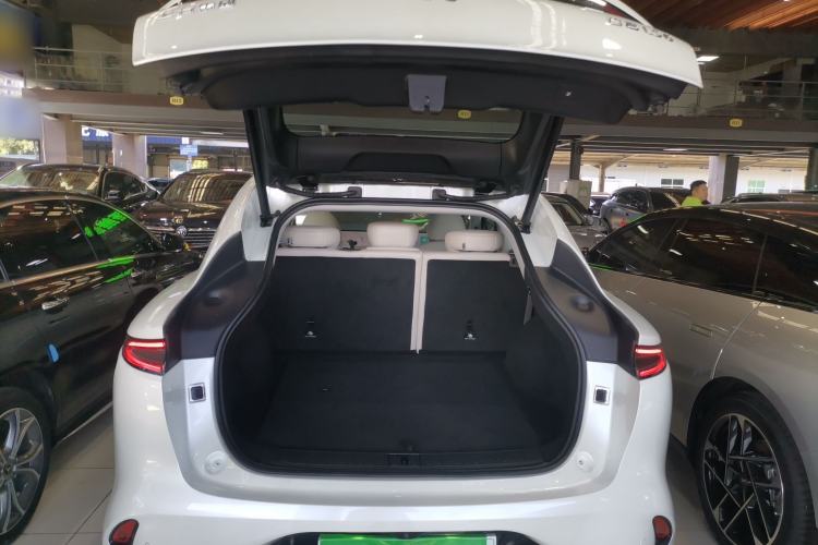 Used  LS6 2023 Max Long-Range Version
