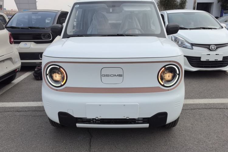 Used  Panda 2024 Panda Mini 200km Endurance Bear
