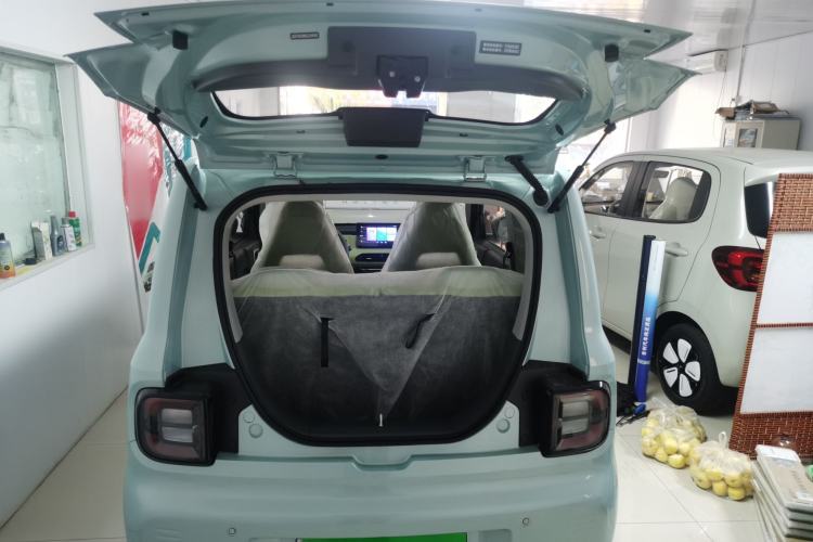 Used  Panda 2024 Panda Mini 200km Endurance Bear
