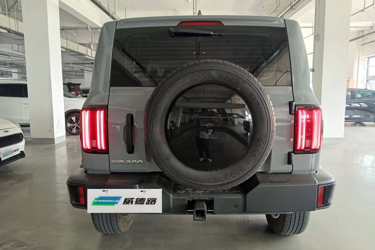 Used Tank 300 2024 2.0T Conqueror
